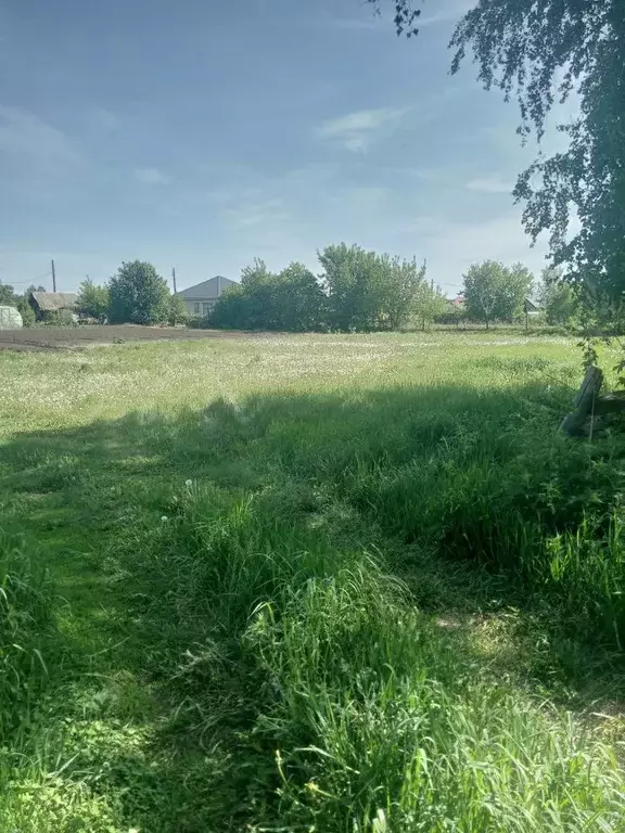 Участок в Алтайский край, Барнаул городской округ, пос. Черницк ул. ... - Фото 0