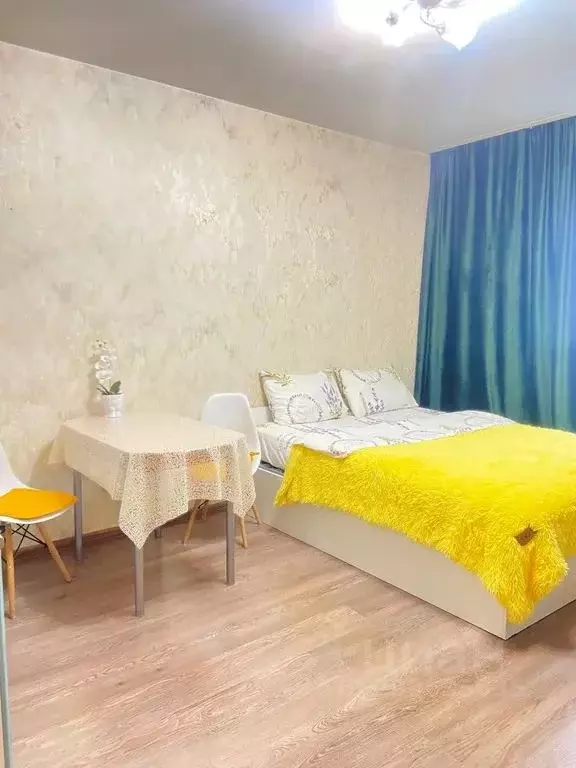 Студия Санкт-Петербург просп. Народного ополчения, 149 (28.0 м) - Фото 1