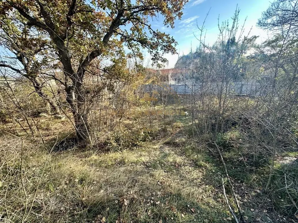 Участок в Крым, Ялта муниципальный округ, Кацивели пгт  (5.0 сот.) - Фото 1