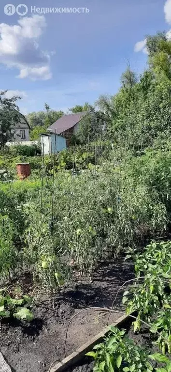 Дом в Стерлитамак, СНТ Водоканал (28.2 м) - Фото 2