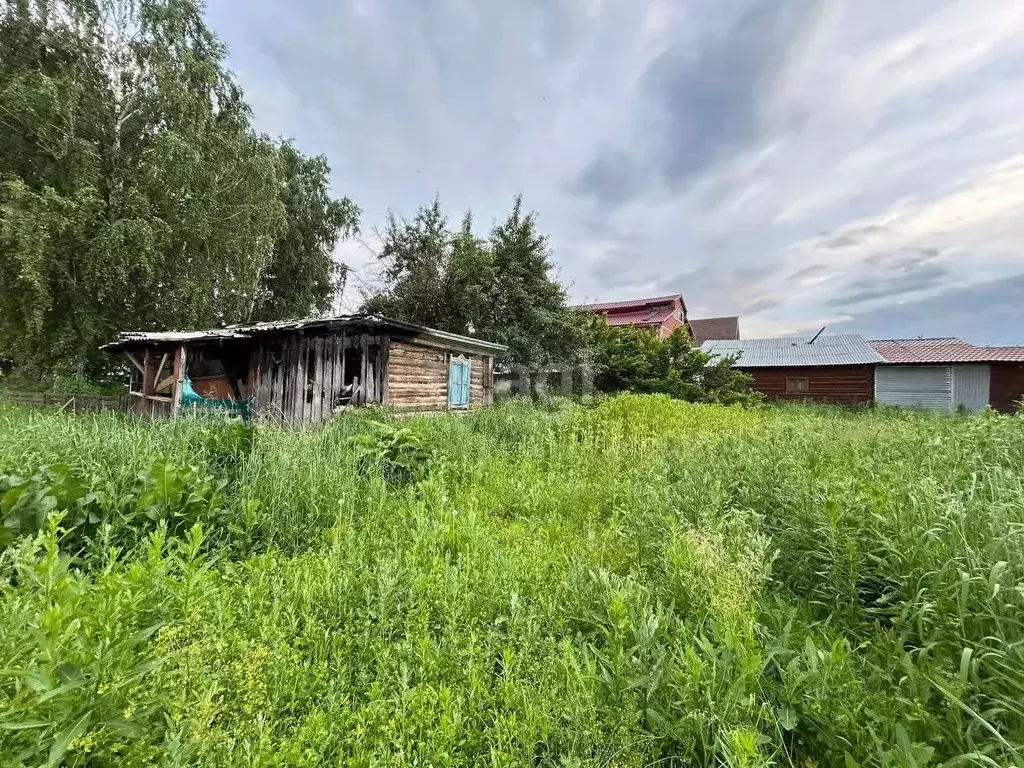 Участок в Алтай, Майминский район, с. Майма ул. Механизаторов (10.8 ... - Фото 1