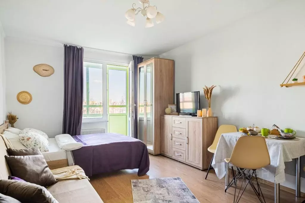 Студия Санкт-Петербург просп. Энергетиков, 9к6 (26.0 м) - Фото 0