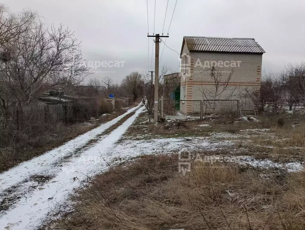 Участок в Волгоградская область, Светлоярский район, Червленовское ... - Фото 1