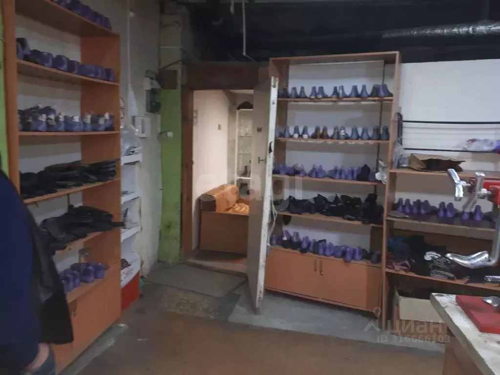 Помещение свободного назначения в Брянская область, Брянск Харьковская ... - Фото 1