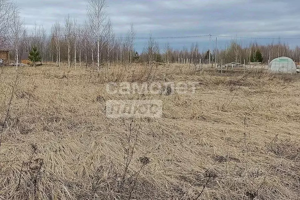 Участок в Марий Эл, Йошкар-Ола городской округ, д. Шоя-Кузнецово ул. ... - Фото 0