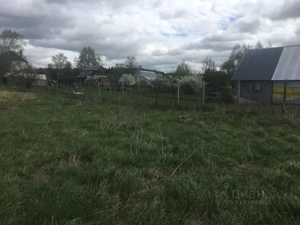 Участок в Московская область, Пушкинский городской округ, д. Петушки  ... - Фото 1
