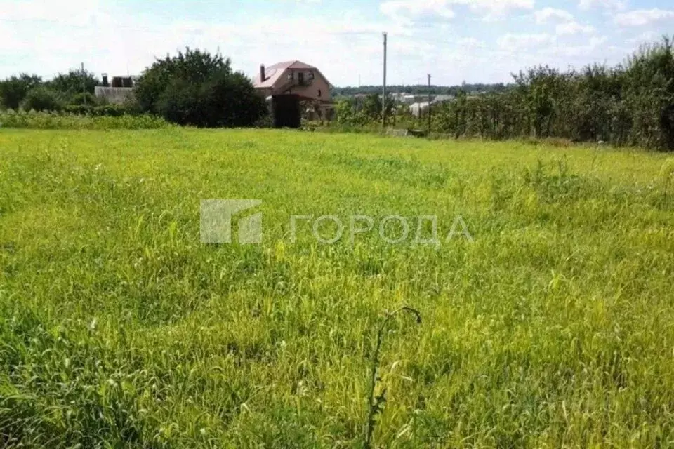 Участок в Новосибирская область, Новосибирский район, Морской ... - Фото 1