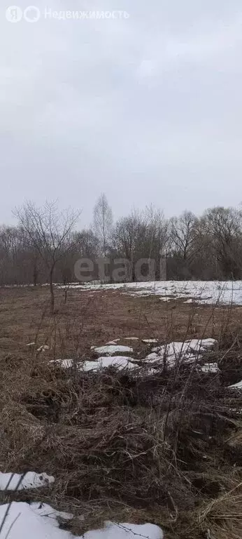 Участок в Липецкая область, Грязинский муниципальный округ, село ... - Фото 1