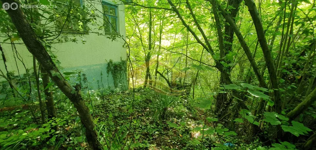 Дом в Краснодарский край, Туапсе (29.8 м) - Фото 0