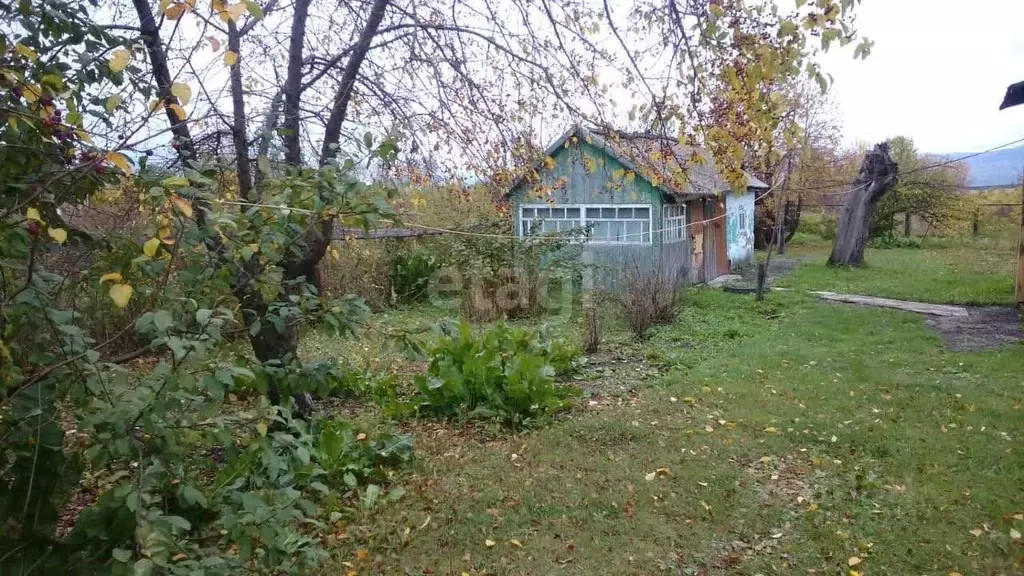 Дом в Алтайский край, Смоленский район, с. Сычевка Октябрьская ул., 67 ... - Фото 0