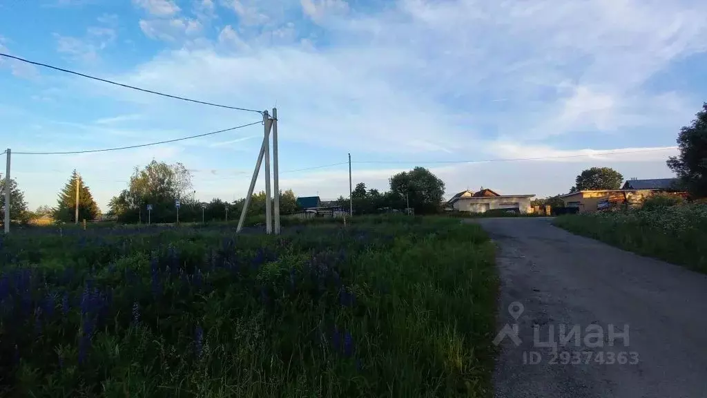 Участок в Владимирская область, Владимир д. Шепелево,  (232.1 сот.) - Фото 1