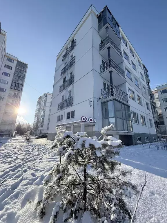 1-к кв. Ленинградская область, Всеволожский район, Агалатовское с/пос, ... - Фото 1