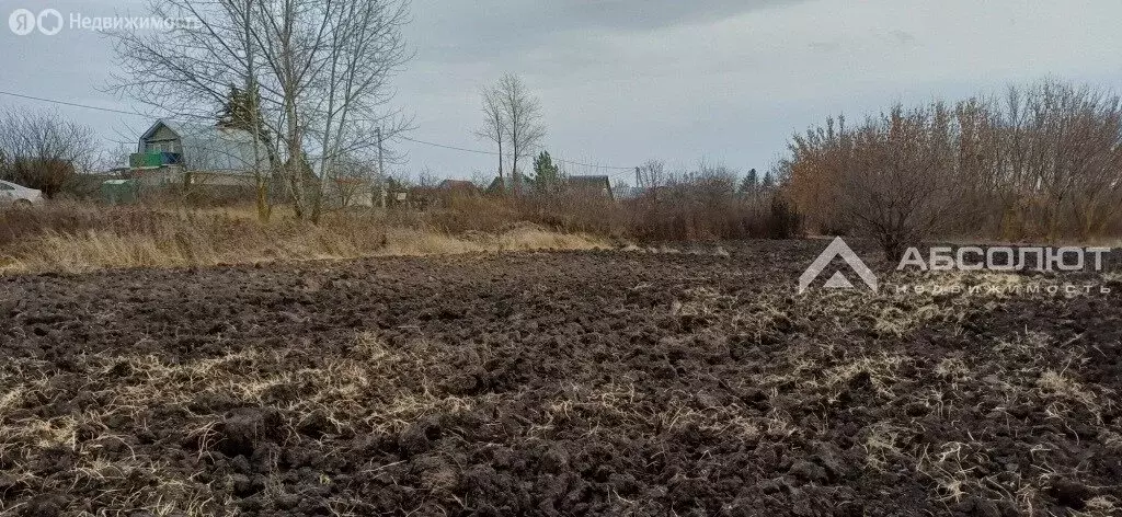Участок в Бессоновский район, СНТ Волна (6 м) - Фото 2