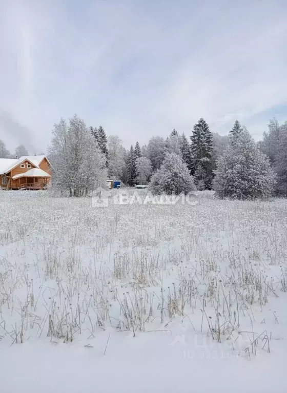 Участок в Ленинградская область, Кировский район, Шумское с/пос, Живой ... - Фото 2