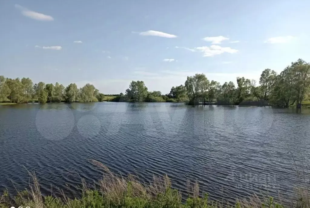 Участок в Пензенская область, Шемышейский район, с. Синодское  (2120.0 ... - Фото 1