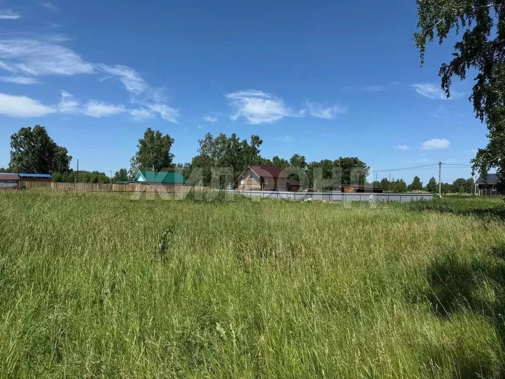 Участок в Новосибирская область, Новосибирский район, Верх-Тулинский ... - Фото 0