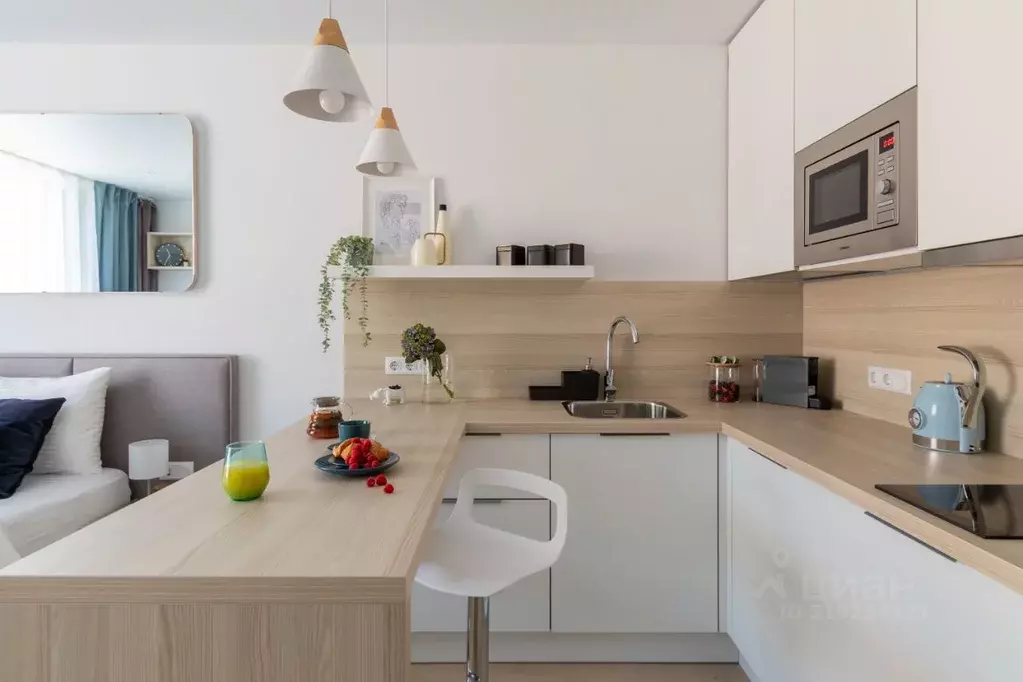 Студия Санкт-Петербург Социалистическая ул., 21 (27.0 м) - Фото 1