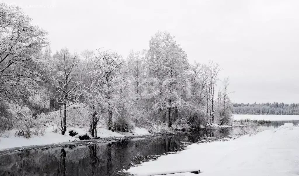 Участок в посёлок Октябрьский, Набережная улица (4.15 м) - Фото 2