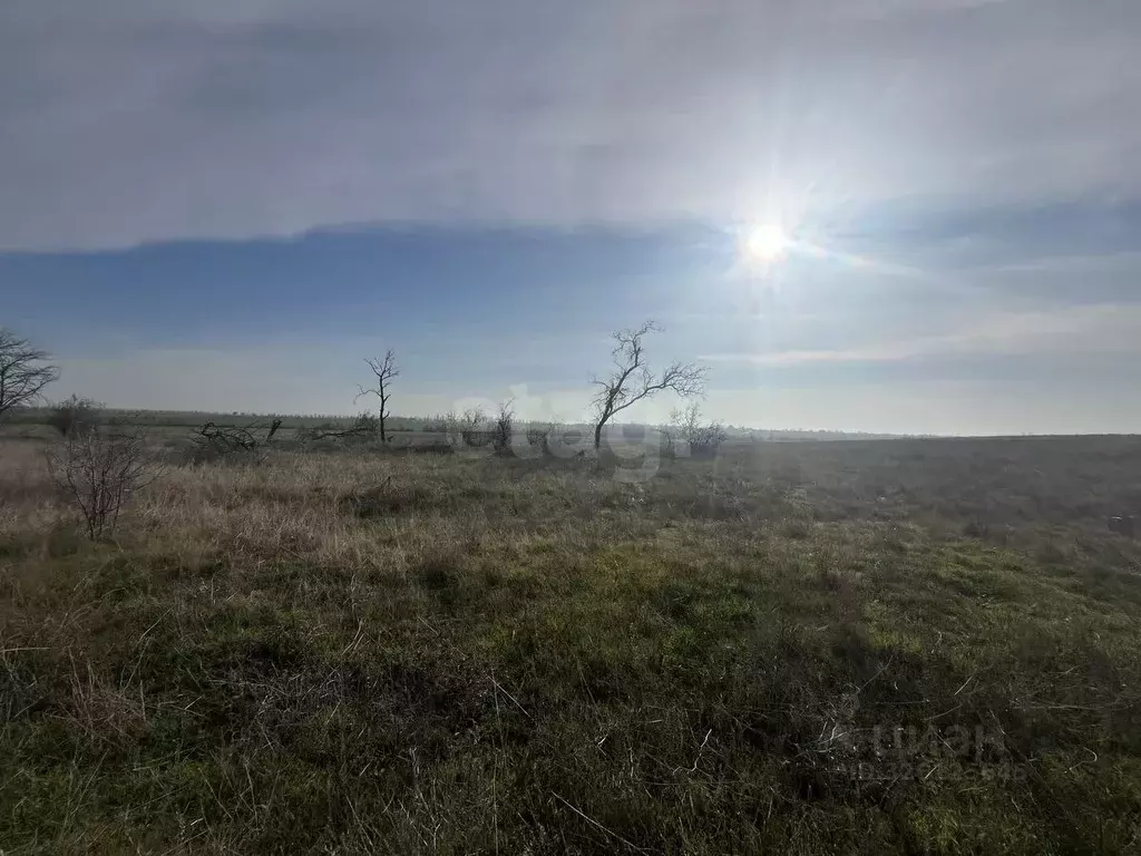 Участок в Крым, Сакский район, с. Фрунзе  (1000.0 сот.) - Фото 2