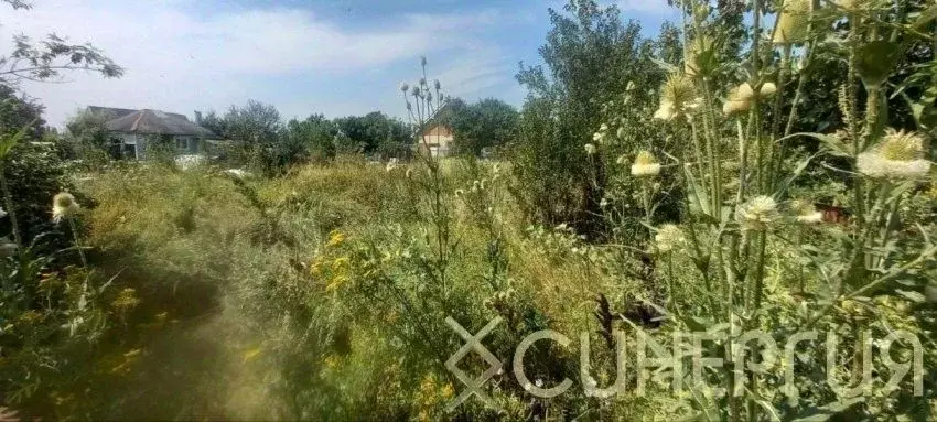 Участок в Ростовская область, Азовский район, Елизаветинское с/пос, ... - Фото 2