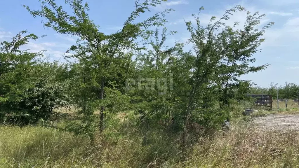 Участок в Адыгея, Теучежский район, Тлюстенхабльское городское ... - Фото 1