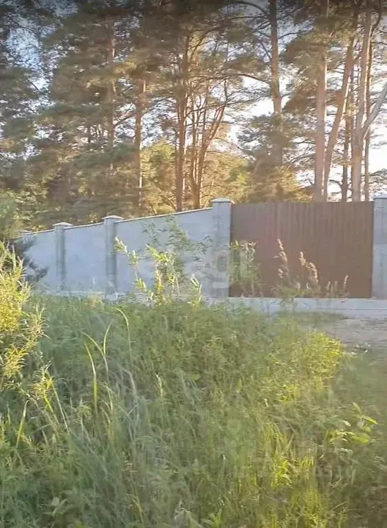 Участок в Псковская область, Печорский муниципальный округ, д. ... - Фото 2