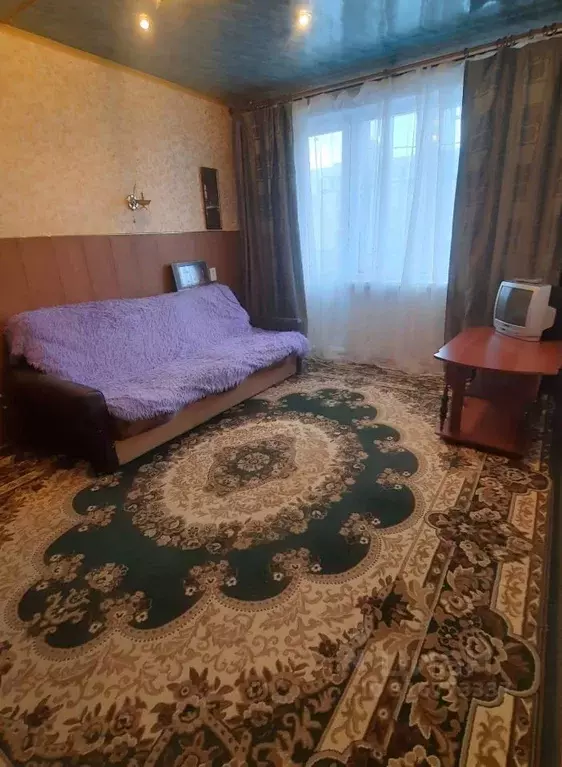 1-к кв. Мурманская область, Мурманск ул. Достоевского, 5 (30.0 м) - Фото 0