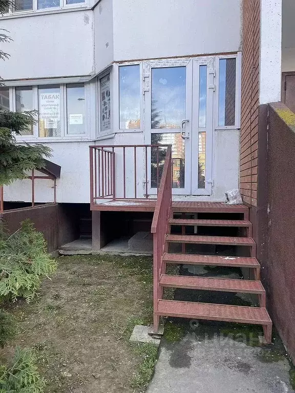 Помещение свободного назначения в Московская область, Домодедово ... - Фото 2