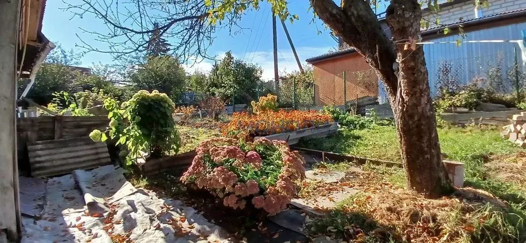 Участок в Нижегородская область, Нижний Новгород Канашская ул., 2А ... - Фото 2