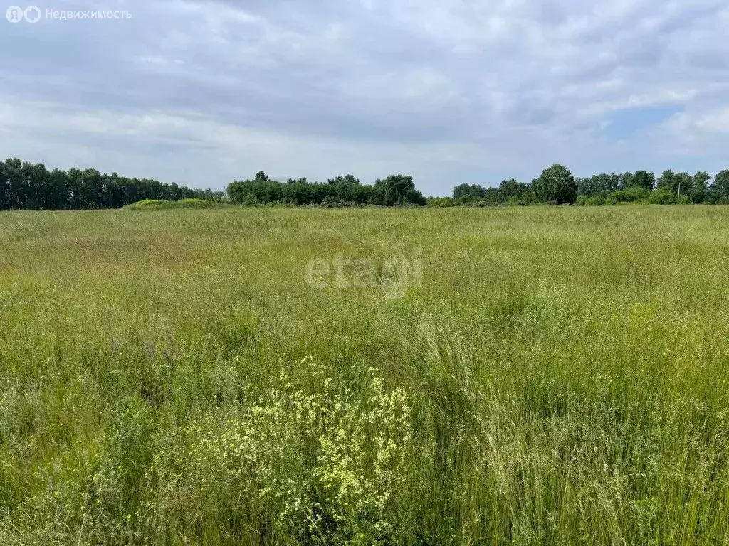 Участок в посёлок Центральный, Ключевая улица (10 м) - Фото 1