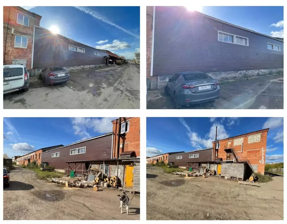 Помещение свободного назначения в Удмуртия, Сарапул ул. Труда, 49 (632 ... - Фото 1