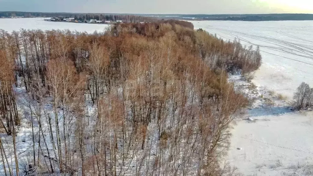 Участок в Ленинградская область, Приозерский район, Плодовское с/пос, ... - Фото 1