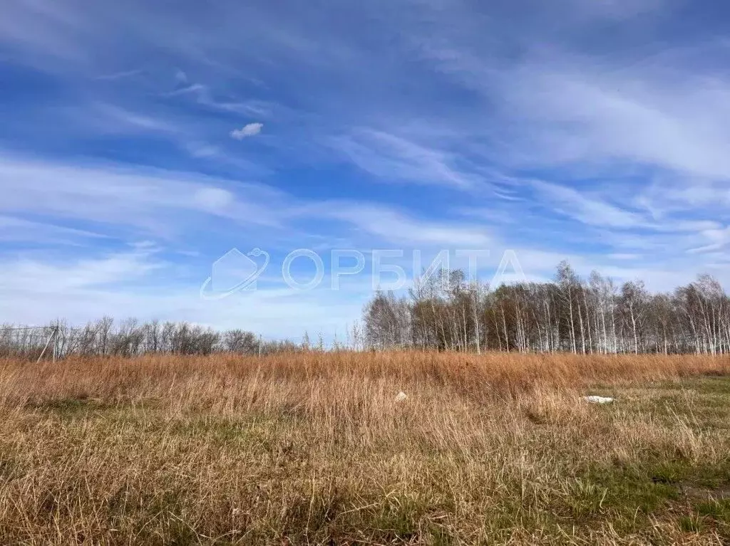 Участок в Тюменская область, Тюменский район, 27/72 кп проезд ... - Фото 1