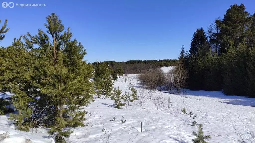 Участок в Завьяловский район, деревня Сизево, Лесная улица, 15 (9.28 ... - Фото 1