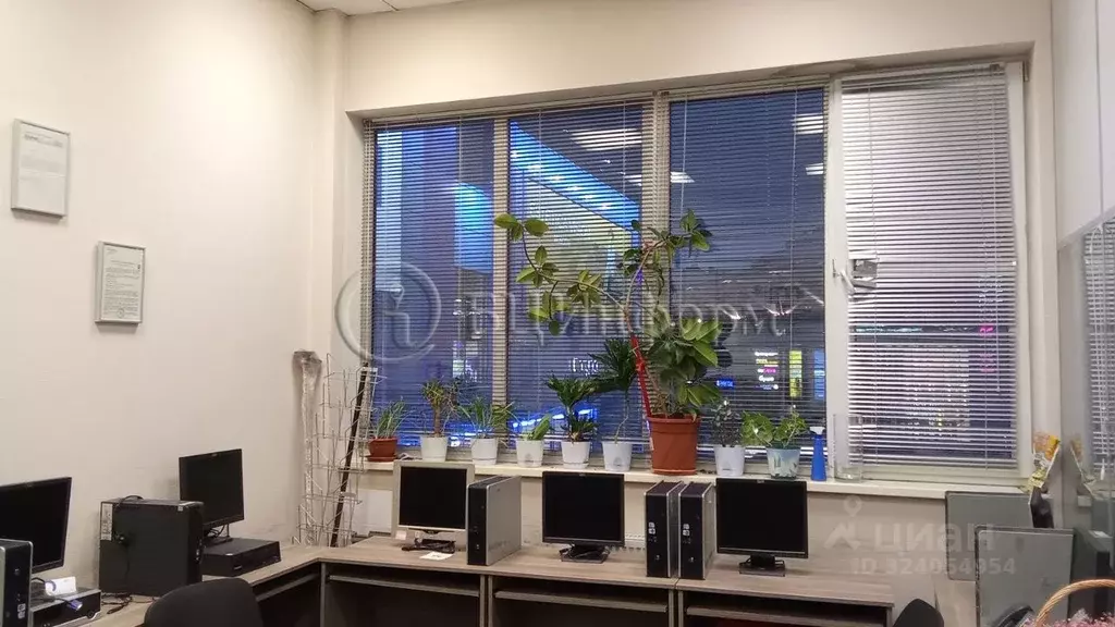 Офис в Санкт-Петербург Кантемировская ул., 37 (235 м) - Фото 2