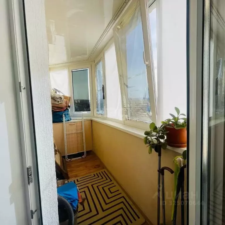 Студия Краснодарский край, Новороссийск Цемдолина тер., ул. ... - Фото 1