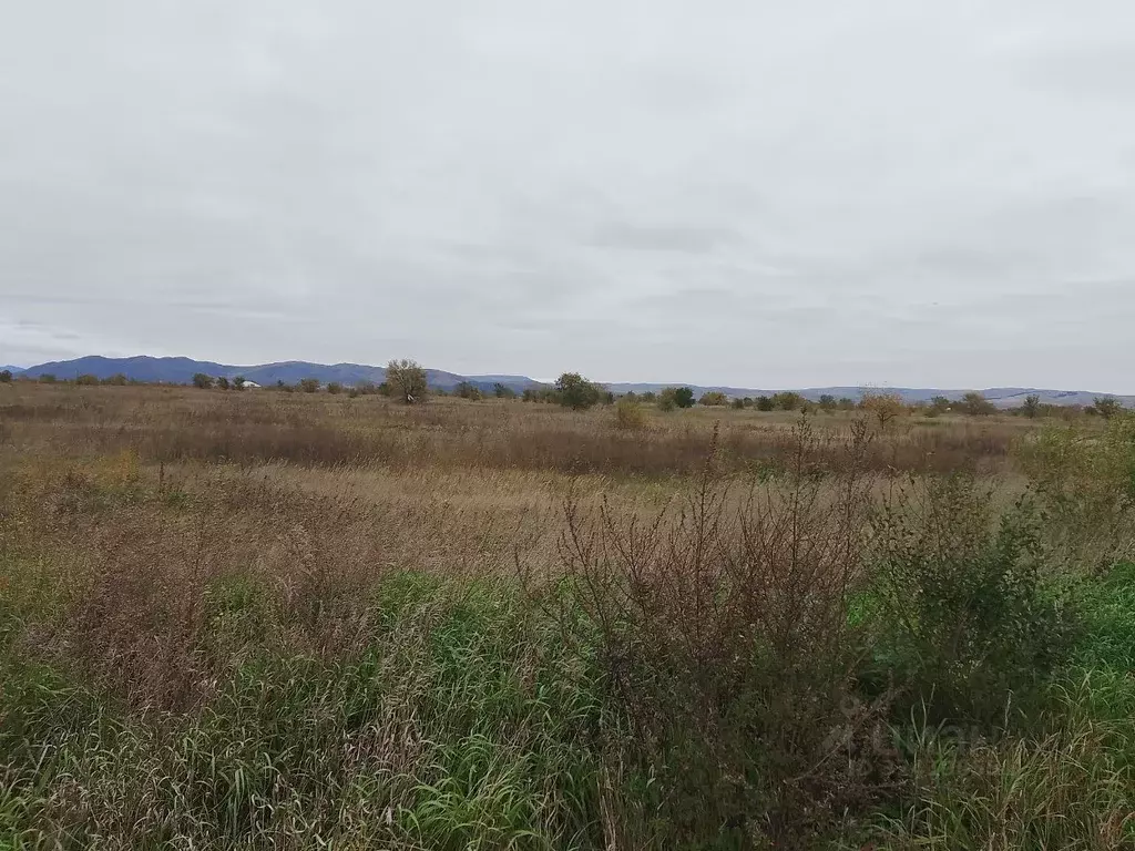 Участок в Красноярский край, Минусинский муниципальный округ, пос. ... - Фото 1