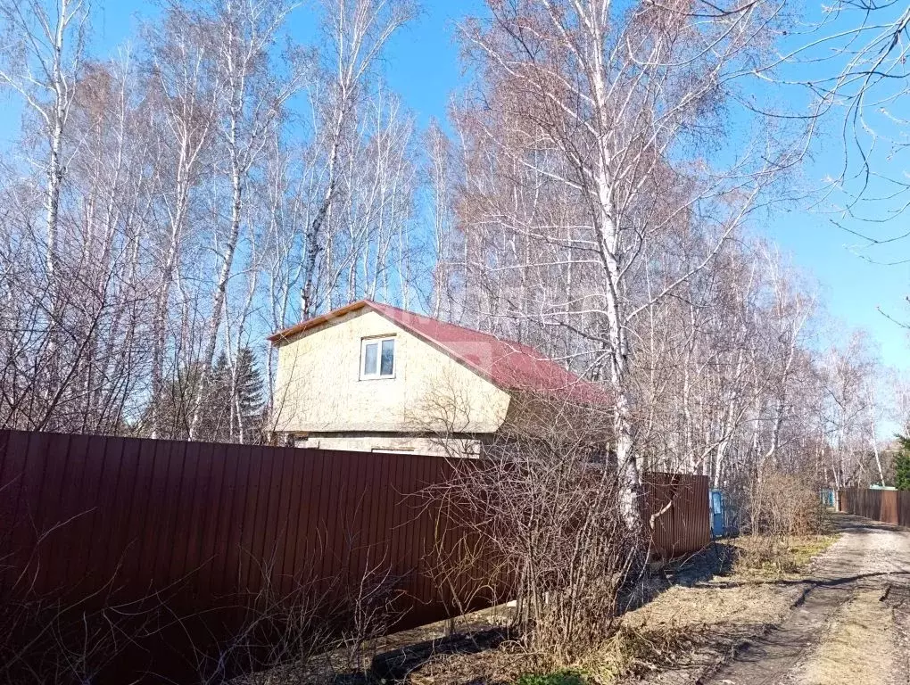 Дом в Омская область, Омск СОСН Нефтехимик тер., аллея 11-я (69 м) - Фото 2