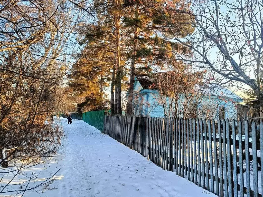 Дом в Амурская область, Благовещенск городской округ, с. Белогорье ул. ... - Фото 0