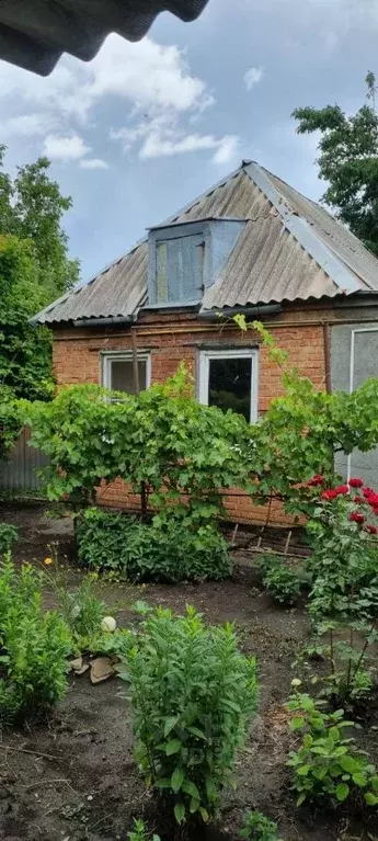 Дом в Ростовская область, Ростов-на-Дону Семейная ул., 30 (46 м) - Фото 0
