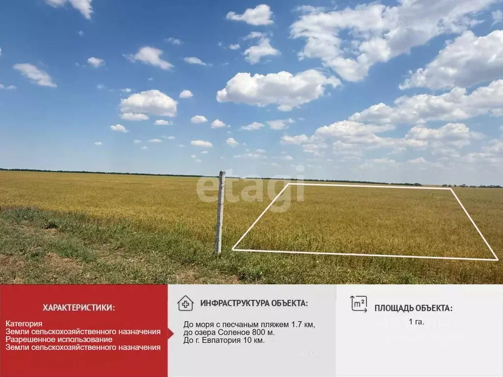 Участок в Крым, Сакский район, с. Молочное  (100.0 сот.) - Фото 1