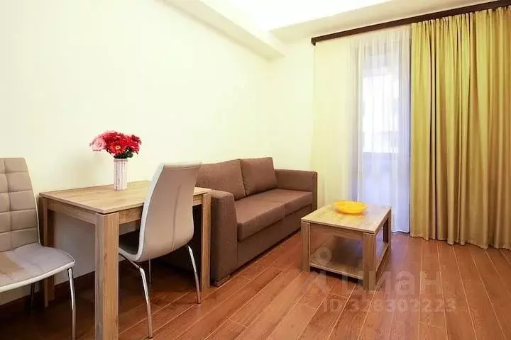 1-к кв. Краснодарский край, Сочи Виноградная ул., 230а (34.0 м) - Фото 1