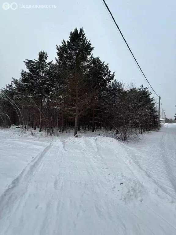 Участок в Иркутский муниципальный округ, посёлок Падь Мельничная, ... - Фото 2