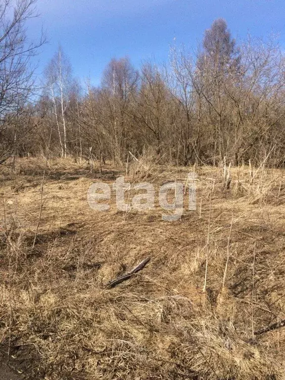 Участок в Владимирская область, Муромский район, с. Борисоглеб ... - Фото 0