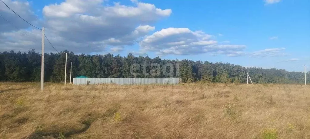 Участок в Воронежская область, Рамонский район, Русскогвоздевское ... - Фото 0