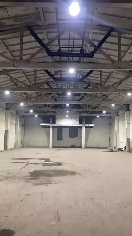 Склад в Московская область, Пушкино Западная ул., 31 (1669 м) - Фото 1