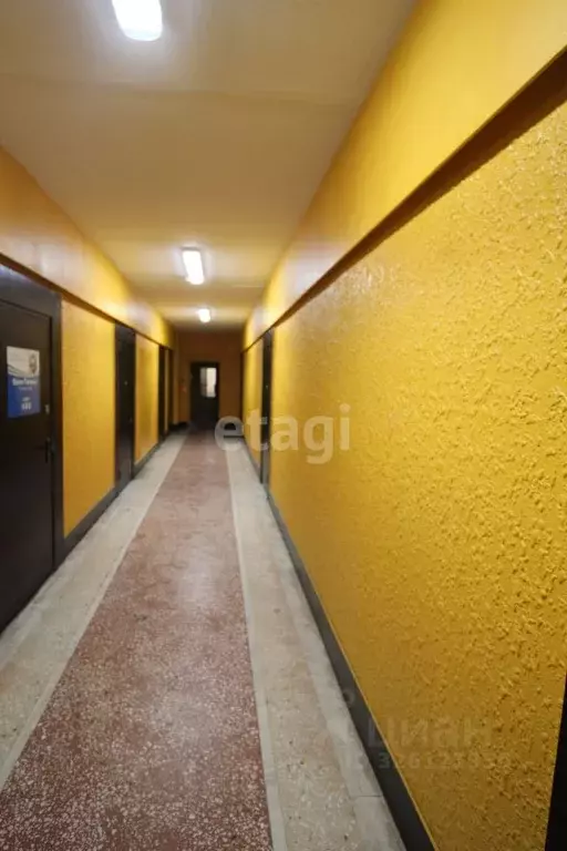 Помещение свободного назначения в Тюменская область, Тюмень ... - Фото 1