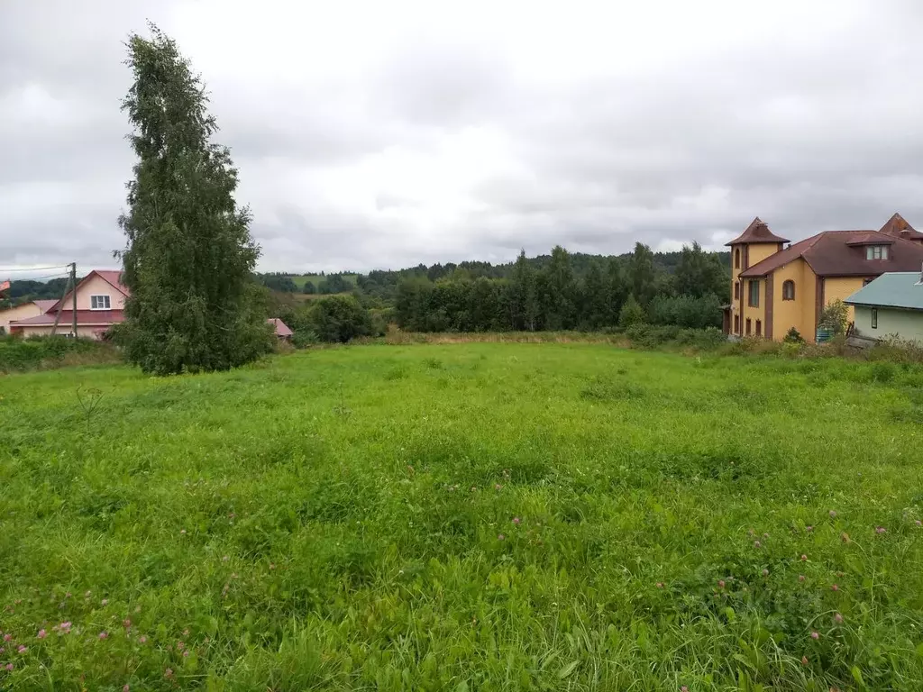 Участок в Вологодская область, Шекснинский муниципальный округ, д. ... - Фото 1