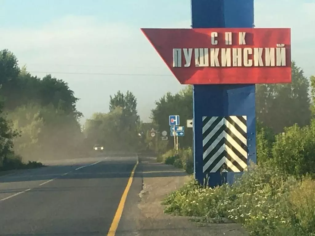 Купить Участок В Пушкино Омская