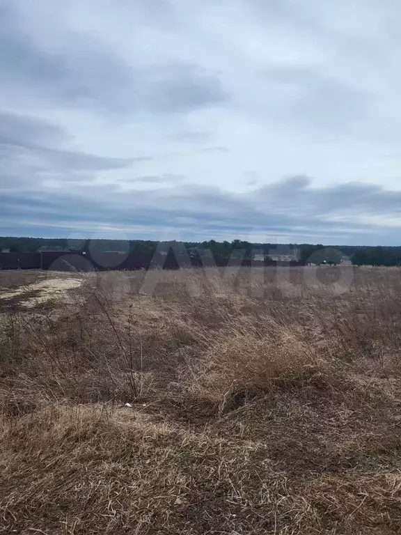 Участок 8,5 сот. (СНТ, ДНП) - Фото 1